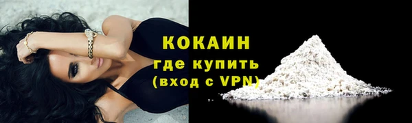 бошки Коряжма