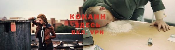 бошки Коряжма