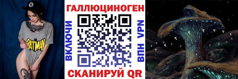 Псилоцибиновые грибы мицелий  как найти наркотики  Брюховецкая 